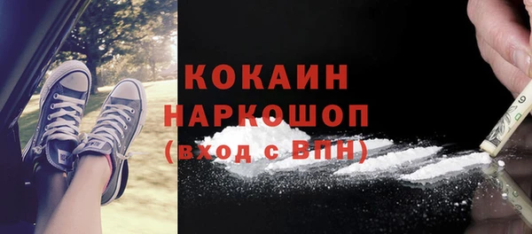 крисы Козельск