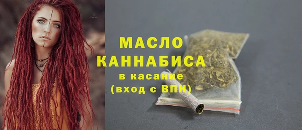 крисы Козельск