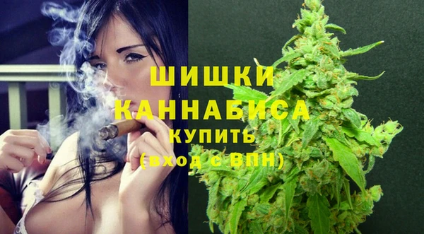 крисы Козельск