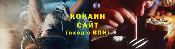 амф Козловка