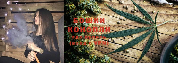 молекула духа Кодинск