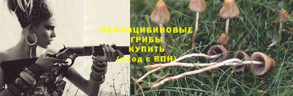 молекула духа Кодинск