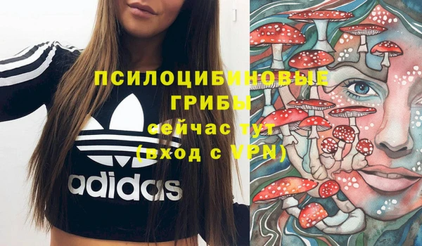 амф Козловка
