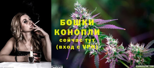 крисы Козельск