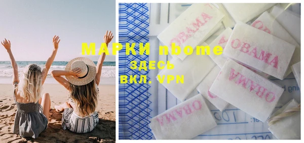 крисы Козельск