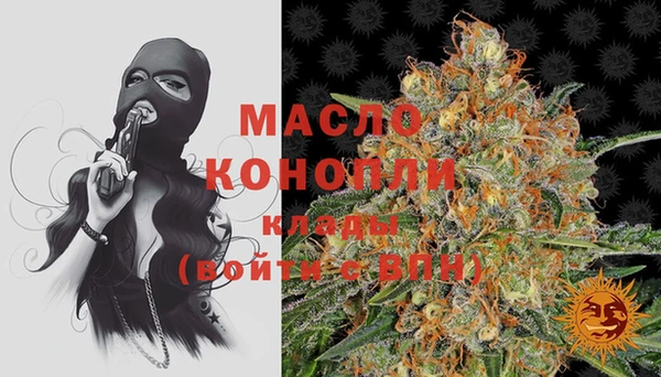 крисы Козельск