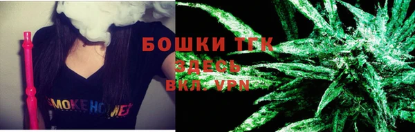 крисы Козельск
