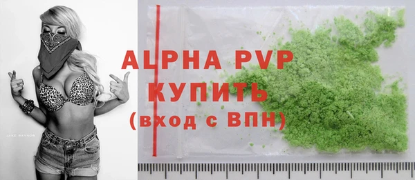 крисы Козельск