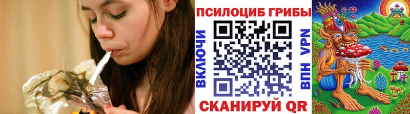 Галлюциногенные грибы Psilocybe Мещовск