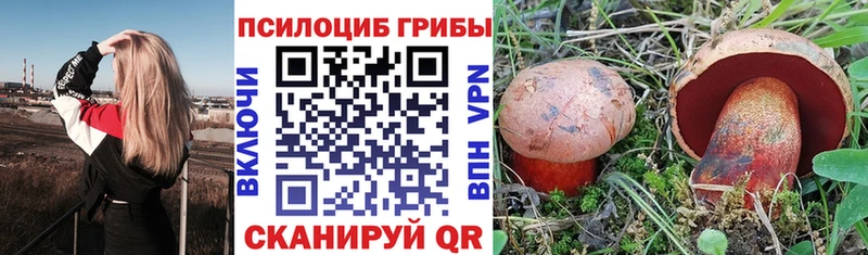 Галлюциногенные грибы Psilocybine cubensis  Мещовск 